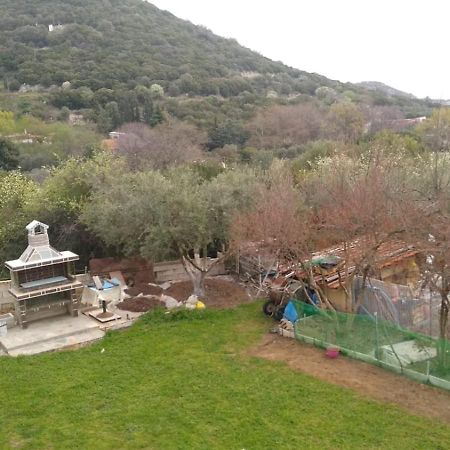 Martha'S Villa Nea Iraklitsa Extérieur photo