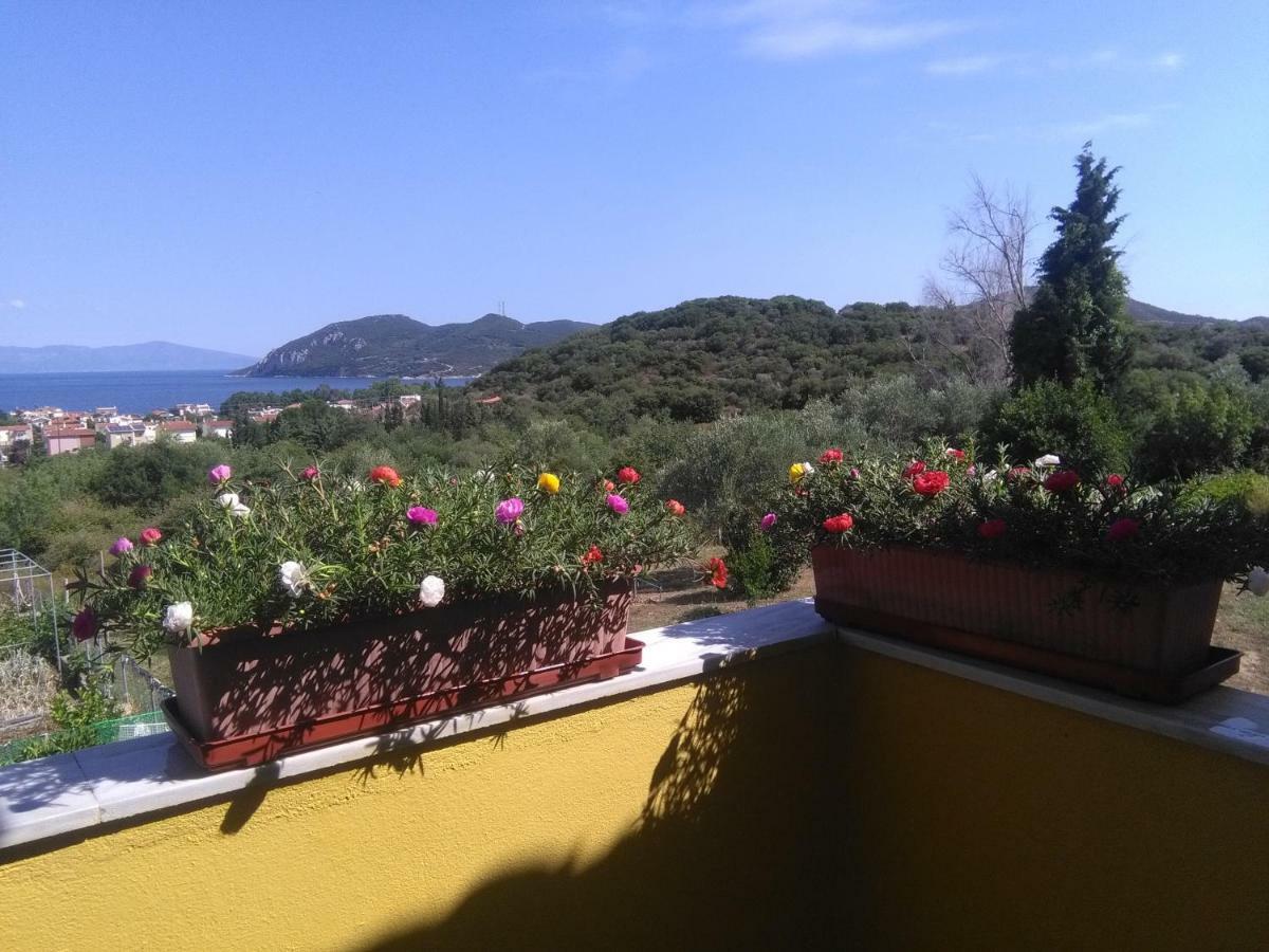 Martha'S Villa Nea Iraklitsa Extérieur photo